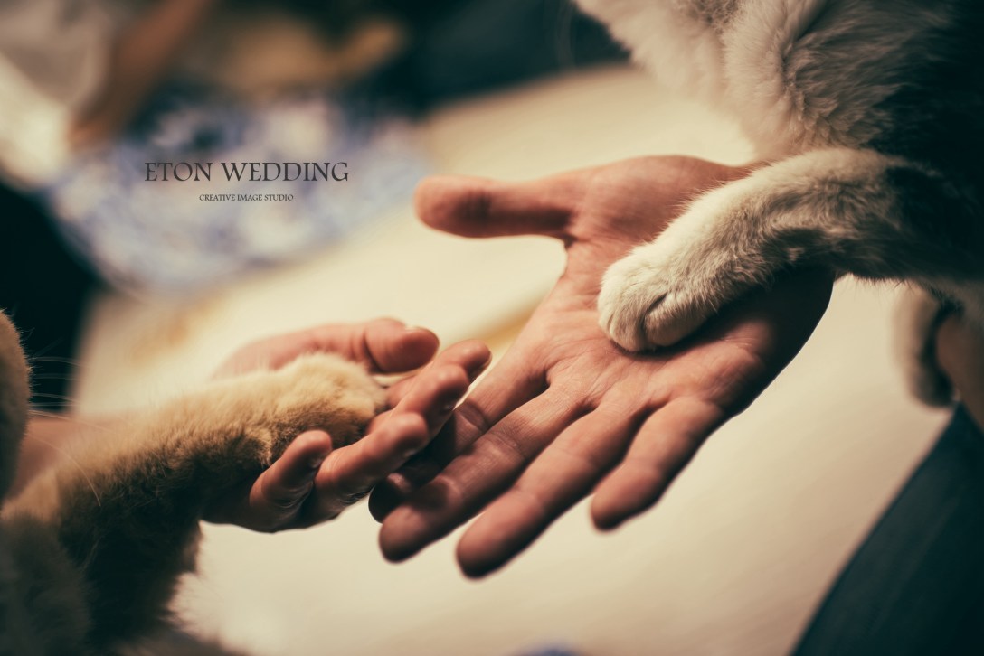 2019自助婚紗,自助婚紗 推薦,自助婚紗,自助婚紗作品,婚紗照 推薦,自助婚紗ptt,婚紗攝影師,自助婚紗風格,婚紗照風格